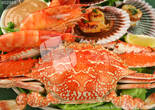 Image of Seafood Platter