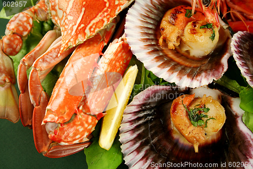 Image of Crab And Scallops