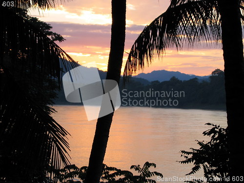 Image of Palm tree sunset. Luang Prabang. Laos