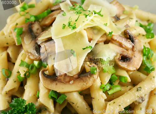 Image of Mushroom Pasta