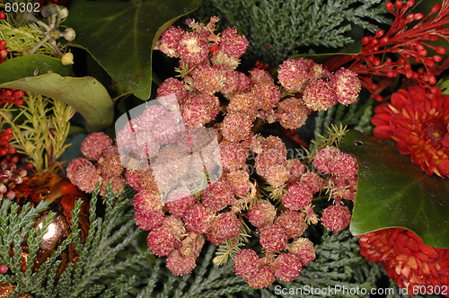 Image of christmas wreath