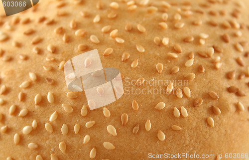 Image of Sesame Seed Background