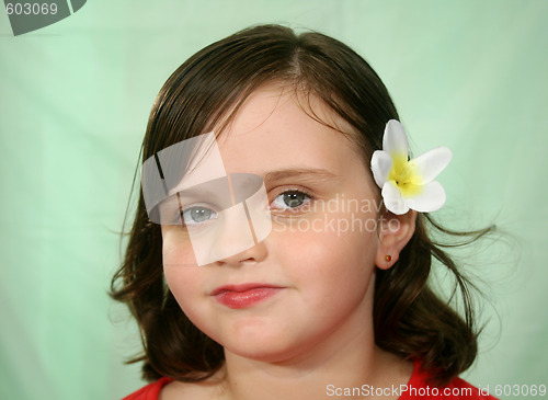 Image of Little Girl With Flower In Her Hair