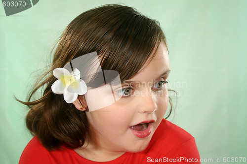 Image of Flabbergasted Little Girl