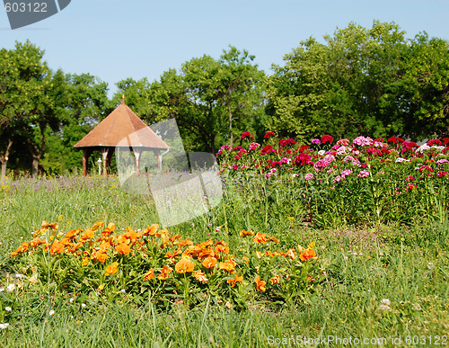 Image of Summer landscape