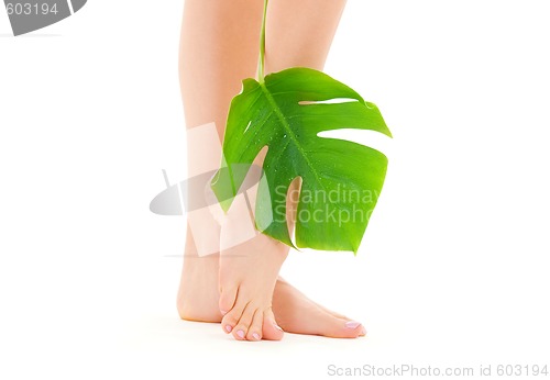 Image of female legs with green leaf