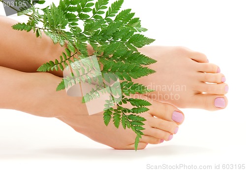 Image of female feet with green leaf