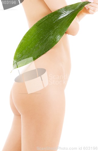 Image of female torso with green leaf over white