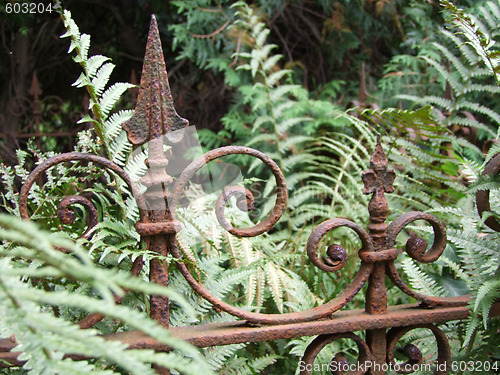 Image of Rusty Fence