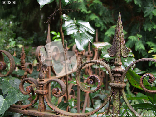 Image of Neglected Grave