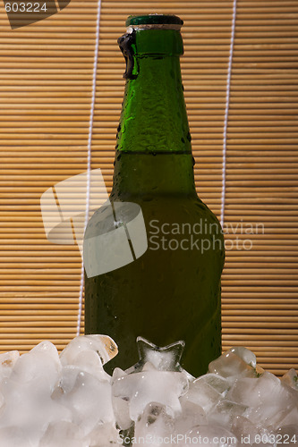 Image of Beer and ice