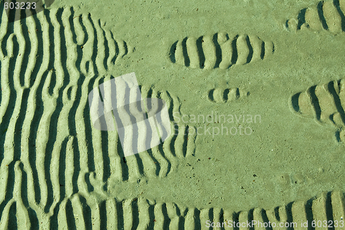 Image of sand ripples