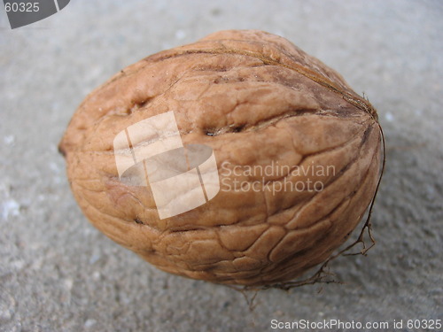 Image of Nut