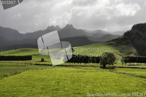 Image of Green pastures