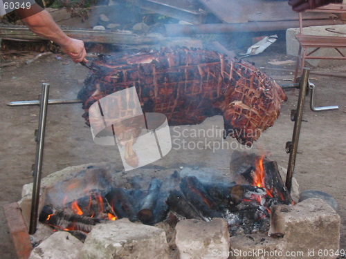 Image of Burned Pig