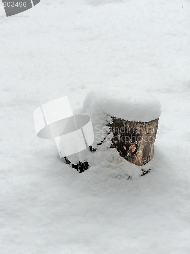 Image of stump