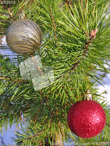 Image of Christmas balls on the tree