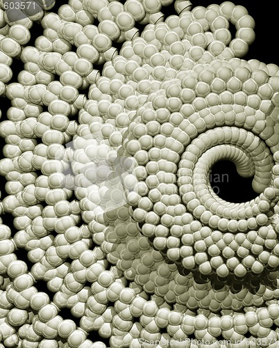 Image of abstract snail