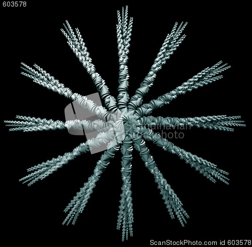 Image of cone star