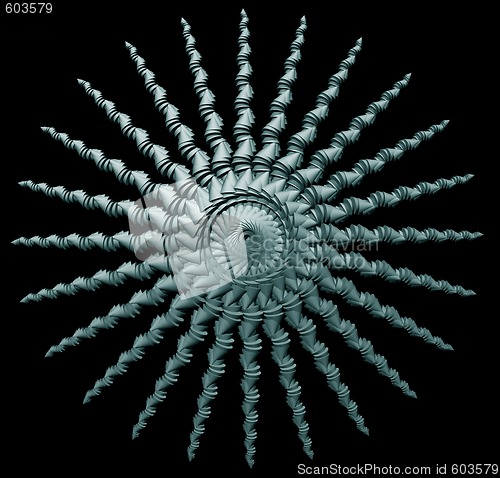 Image of cones