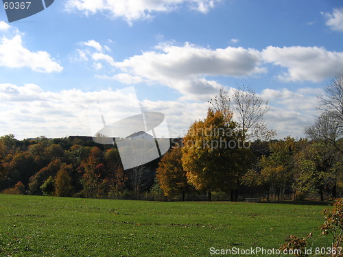 Image of Field with Trees