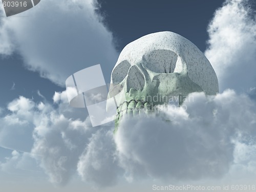 Image of skull