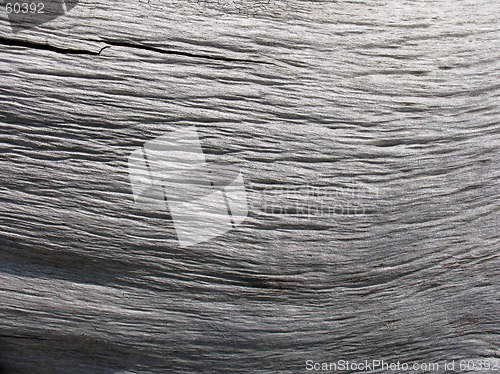 Image of Old Wood Texture