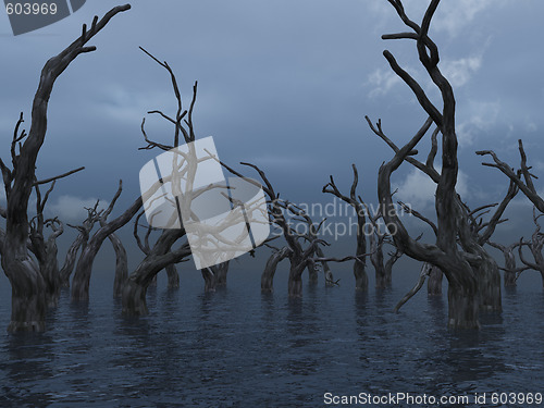 Image of dead trees