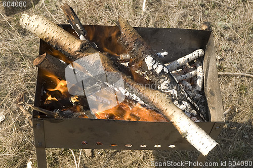 Image of burning firewood