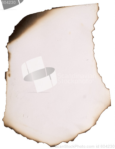 Image of burnt paper