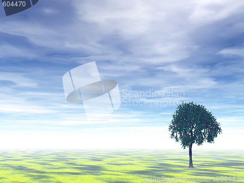 Image of tree