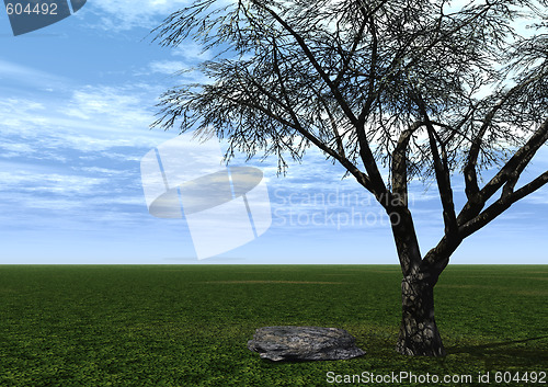 Image of tree and stone