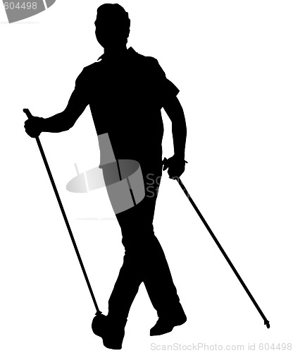 Image of nordic walking