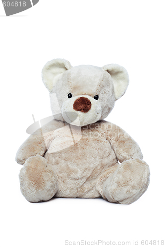 Image of Cute Teddy bear over white background