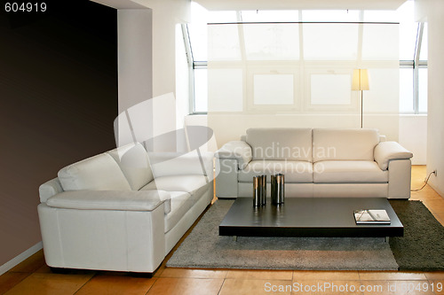 Image of Leather sofas