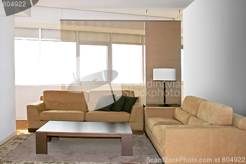 Image of Two brown sofas
