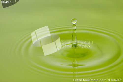 Image of water drop