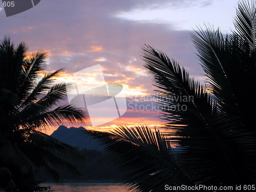 Image of Palm trees and blazing skies. Luang Prabang. Laos