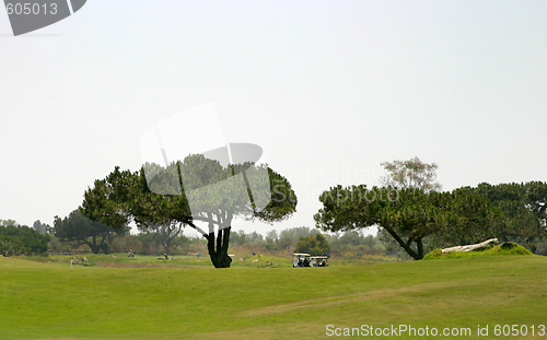 Image of Golf