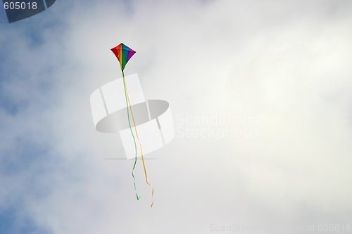 Image of Kite