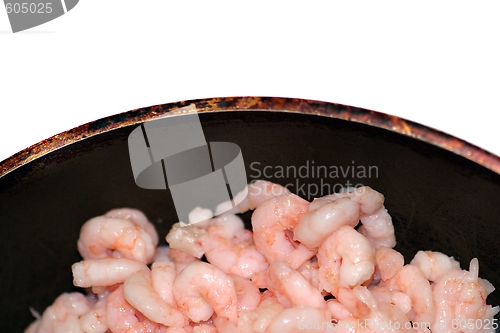 Image of Shrimp