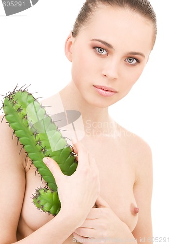 Image of cactus