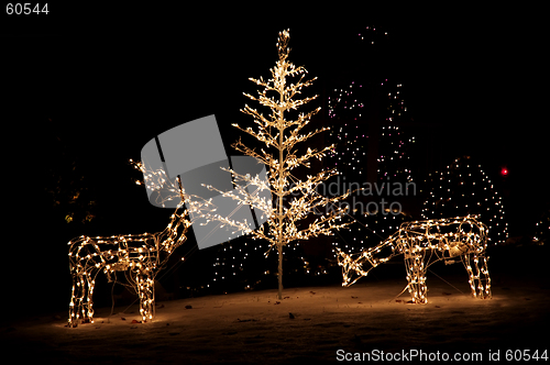 Image of Christmas Yard Lights