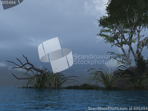 Image of evening