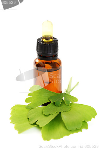 Image of ginko oil