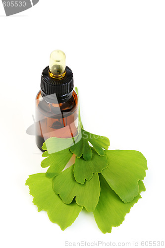 Image of ginko oil