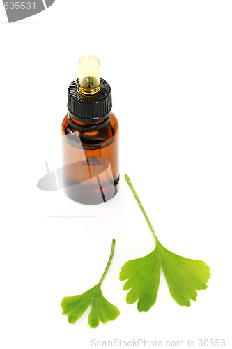 Image of ginko oil