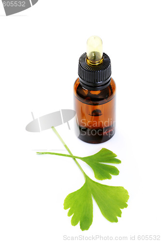 Image of ginko oil