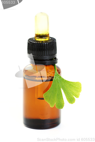 Image of ginko oil