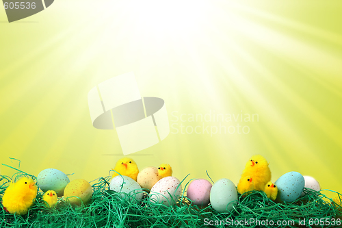 Image of Easter Holiday Image With Chicks Eggs and Grass